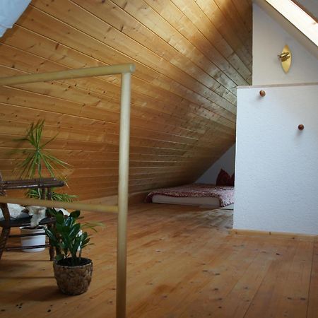 Schwalbennest Kaisitz Apartment Exterior photo