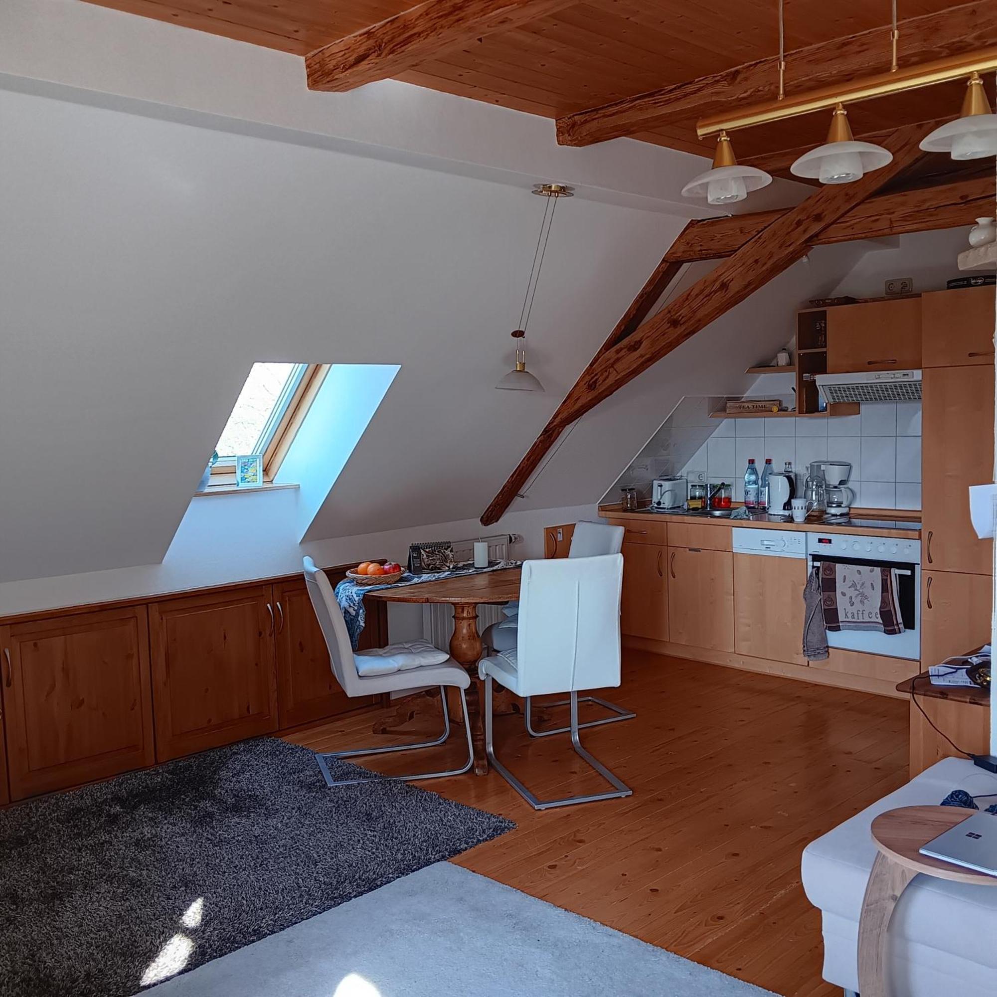 Schwalbennest Kaisitz Apartment Exterior photo